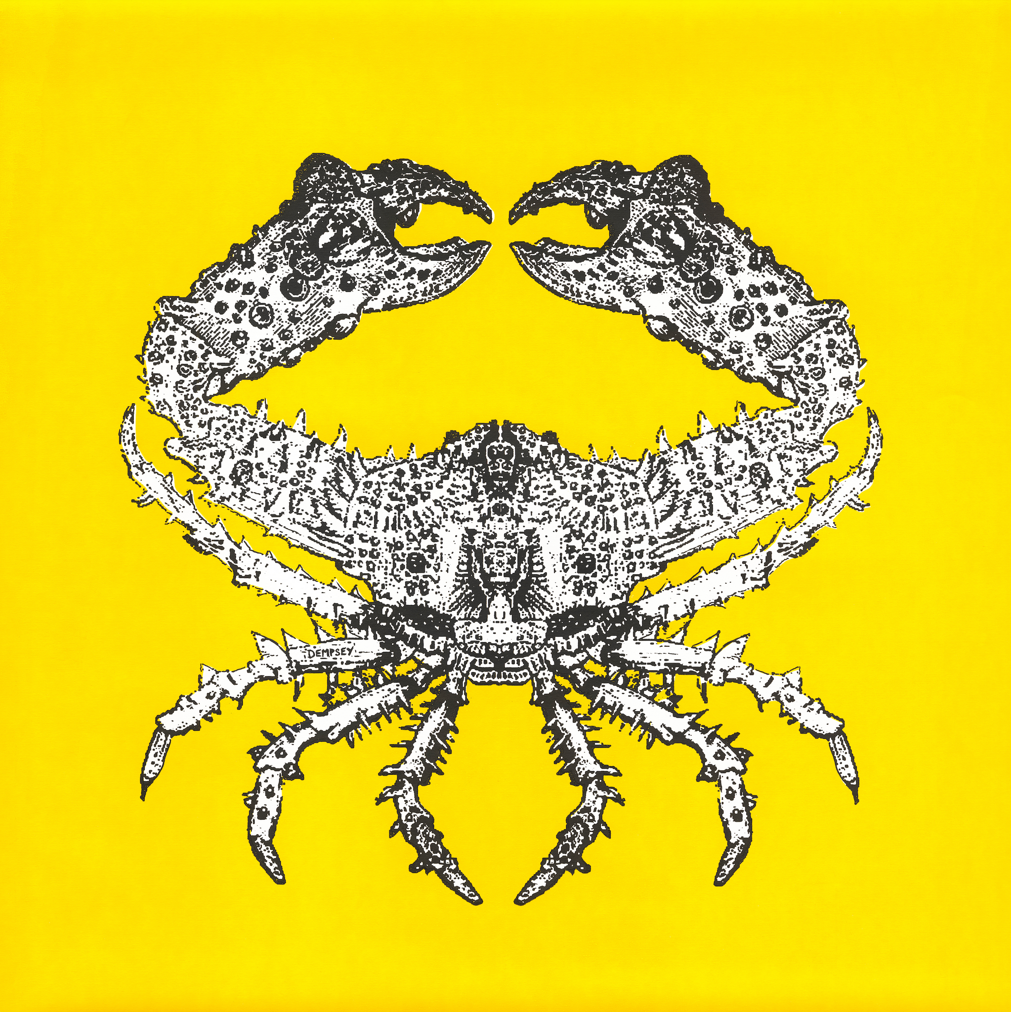 Martyn Dempsey - Yellow Crab