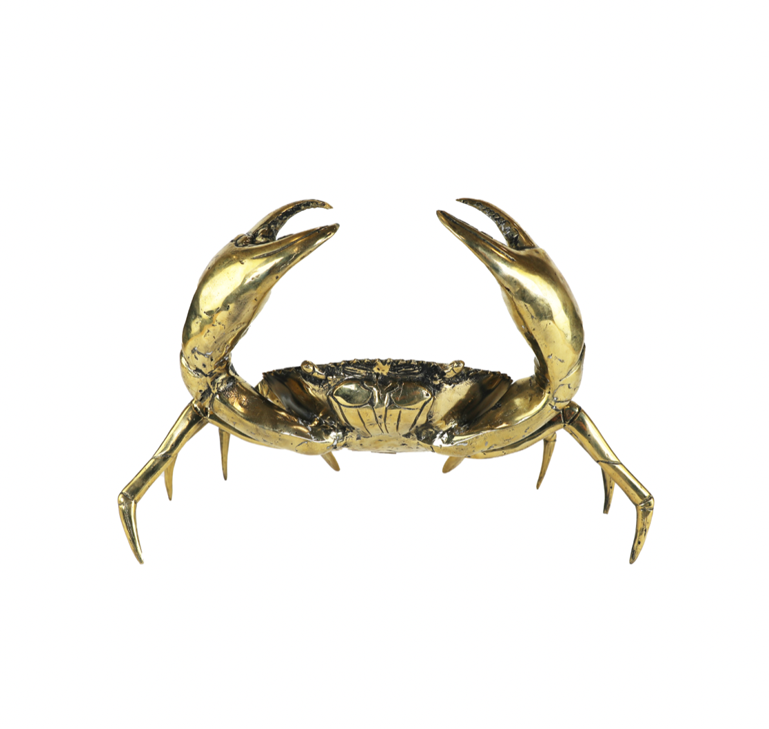 XL Solid Brass Cornish Crab with a Gold Patina Finish